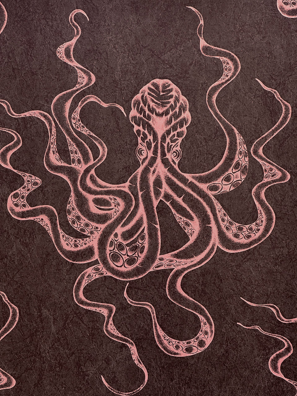 Dusky pink Kraken illustration on claret background, highlighting intricate sea creature design and luxury finish