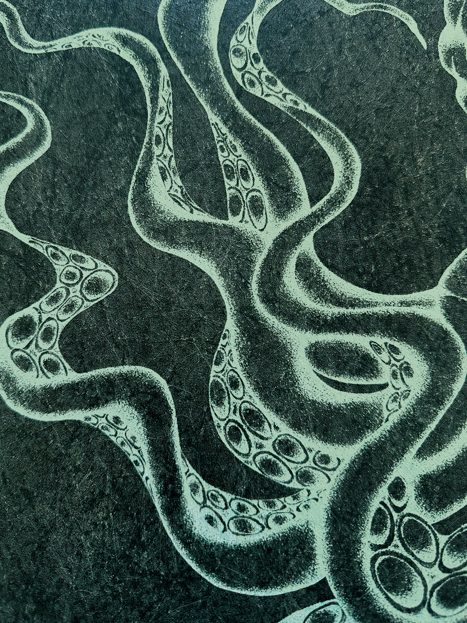 Kraken Black Emerald wallpaper showing swirling octopus tentacles on a forest green backdrop, perfect for moody interiors and nautical decor.