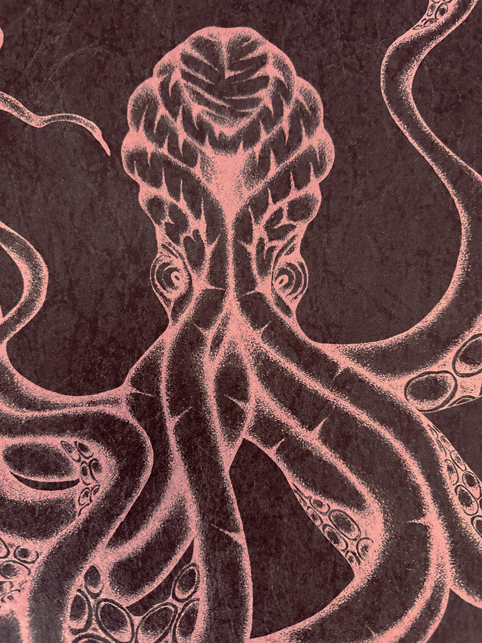 Elegant close-up of Kraken Claret wallpaper featuring wine red tones and detailed sea creature linework