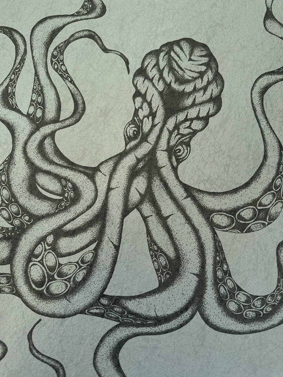 Detail of Kraken Steel wallpaper illustration showing marine textures and charcoal ink.