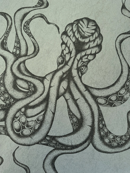Detail of Kraken Steel wallpaper illustration showing marine textures and charcoal ink.
