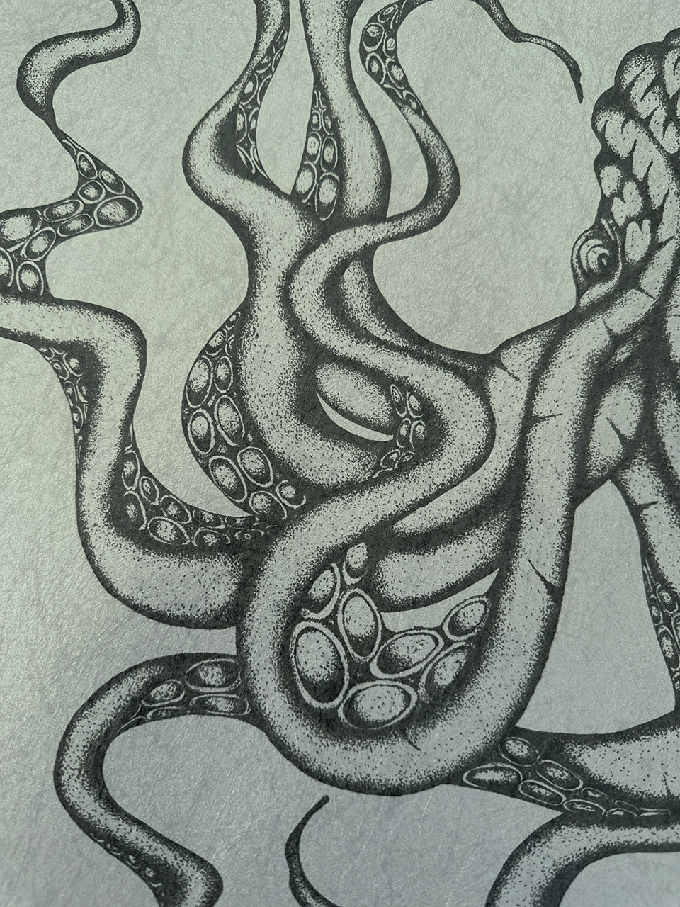 Close-up view of Kraken octopus tentacles in charcoal ink on parchment-style paper with coastal tones.
