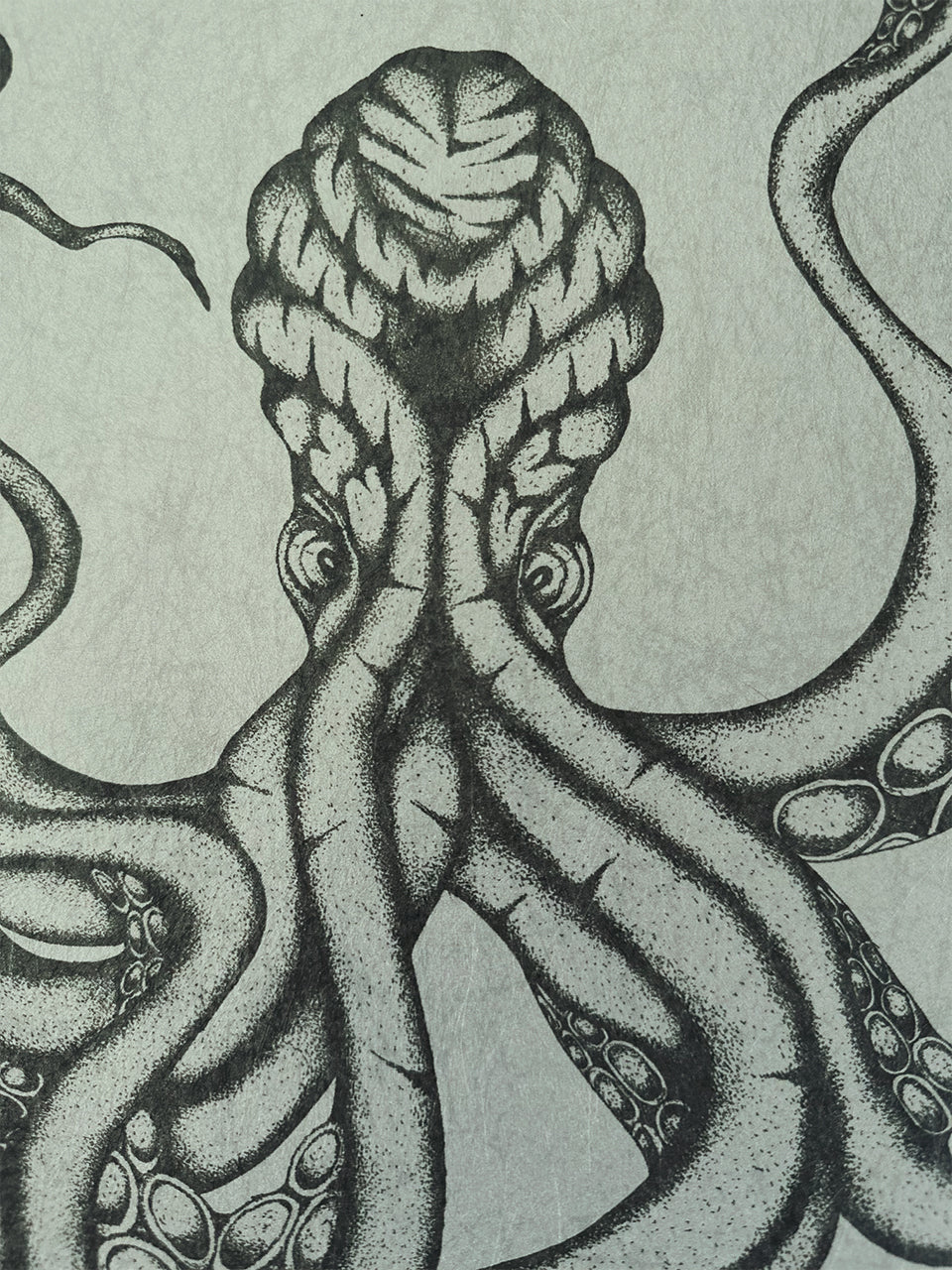 Dramatic close-up of Kraken’s head and eye in graphite ink on parchment-style background.